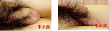 http://webservice.zoosnet.net/LR/chatwin.aspx?id=LZA96457555&e=lamp100